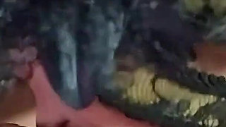 Amateur blowjob and cumshots on a hot ebony wife