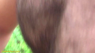 Honey in Nature Doggy