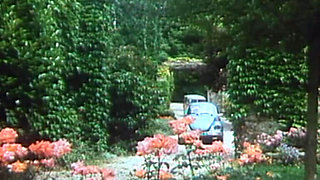 Doggy Style Poolside Classic! (first Scene, 8m26)