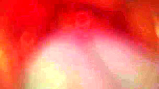 B025 Asian Beauty Tentacbondage Slave Face Sitting, Farting, Anal Licking