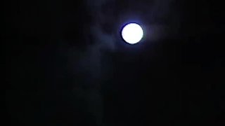 Cumpilation Blowjob Cuckold Facial Pornstar POV