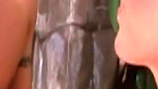 He Is Lying by the Pool When She Sits on His Cock