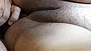 Naughty Brazilian Couple Complet 1 - Naughty Little Ant