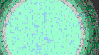 Birthday Booty Worship