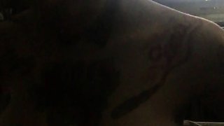 Amateur BJ Oral POV Blowjob Cumshot