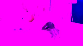 Emo Amateur Teen stript vor der Cam