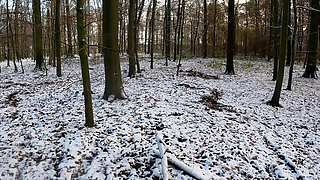Throwing Snow Balls on Her Naked Tits in the Woods