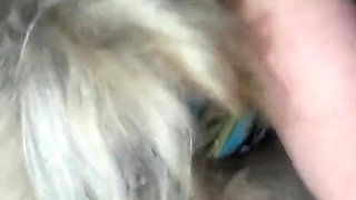 Single American Mom Loves Sucking Cock