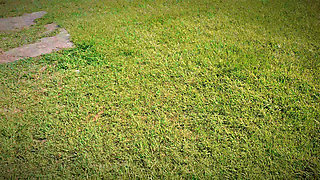 Sweat & Smell Fetish: Licking Her Salty Pussy & Pits