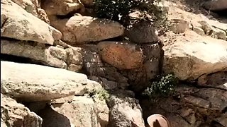 Amateur teen outdoor sex