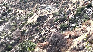 Secret Hot Springs Adventure with Adira