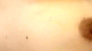 Pussy