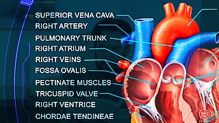 Savannah Sixx Heals with Horny Nurse Brunette Heat