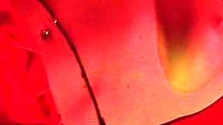 Lesbian Cats Scene-3_busty Brunette Lesbians Claudia Rossi&ellena Simmons Fuck Each Other with Strapon Until Orgasm