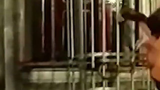 Brunette Dominatrix Teases Her Masked Caged Slave