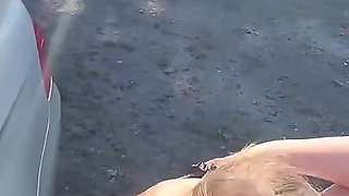 Stuck in the Car Window - and You Take Your Chance..