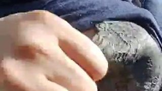 C4 sibel: Big Tits, Babe  Fansly Porn