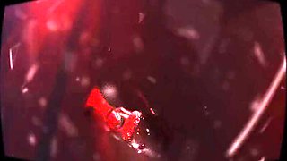 Jokey Japanese Damsels slow voluptuous pummel three-way