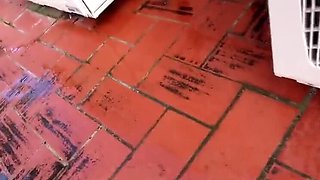 Amazing Spider-Woman Cosplay Blowjob & Squirting in Public - Magia Rosa Flexible HD Sex