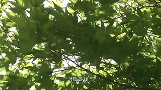 purupuru-fuck-pako-852