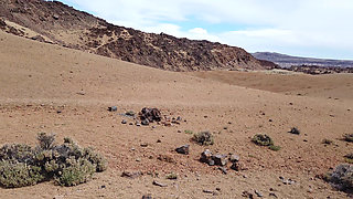 In Teide Park