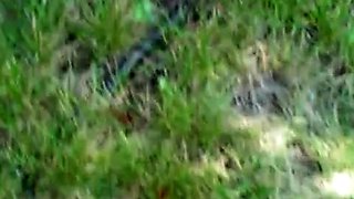 Young Mexican Amateur Humiliated Outdoors