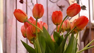 Big cock scene with stupefying Jezebelle Bond from Skankery