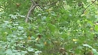 The Slave Bastards Destroyed in The Forest