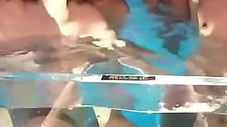 Blowjob-only Scenes, Facials, Creampies, and More. - 2