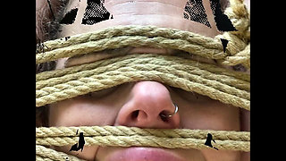 Panties, Pussy and Solo Compilation