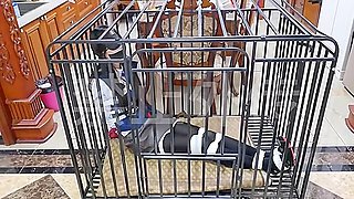 Crazy Porn Video Bdsm Exotic Like In Your Dreams