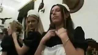 IRREPRECIBLE HAREM FEELING NEED HAREM: Blowjob, Doggy  Cowgirl Porn