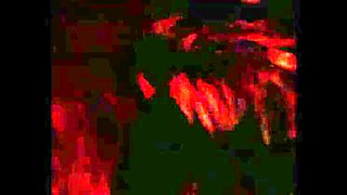 Barett Moore Cunt Worship with Extreme Passion Blowjob and Cumshot