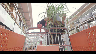 I'm Embarking on a New Public Nudity Challenge