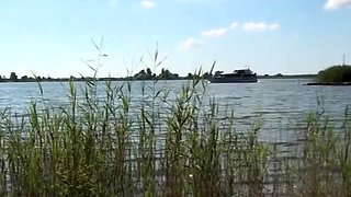 Close Up And Cumshot