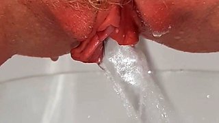 Amateur MILF Toilet Piss Closeup. Various Scenes.