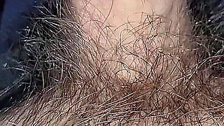 Cock in Pussy