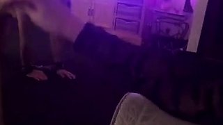 Classy blonde enjoys foot fetish