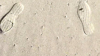 I Love the Sea and the Sun