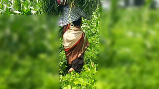 Desi Bhabhi Outdoor Fuck with Devar in Jungle - Sukunmi & Dewaif Public Sex