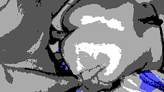 Doggy Fuck by My Lover While My Husband Films