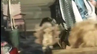 Baby Pozzi And Rocco Siffredi - Vintage Cosplay Of The Knights Who Enjoy In The Orgy