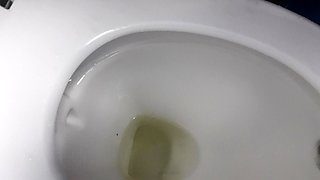 Public Swimming Pool Pee