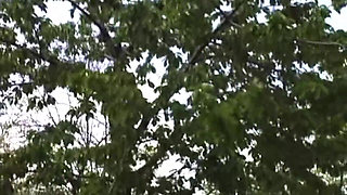 Outdoor Nylon Fetish Play in Sheer Pantyhose