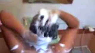 Indonesian Babe's Pre-Coital Shower