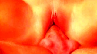Brunette hardcore blowjob