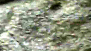 Horny couple fucking on the end of a beach