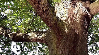 Pretty Laundress Eva Seduces by Shaking Her Butt and Gets Punished for It