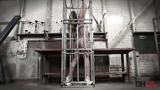 Lana Violet Surrenders to Intense Passion in Exotic Clash