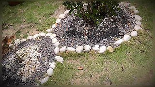 POV Sex with My Stepsister on Family Trip